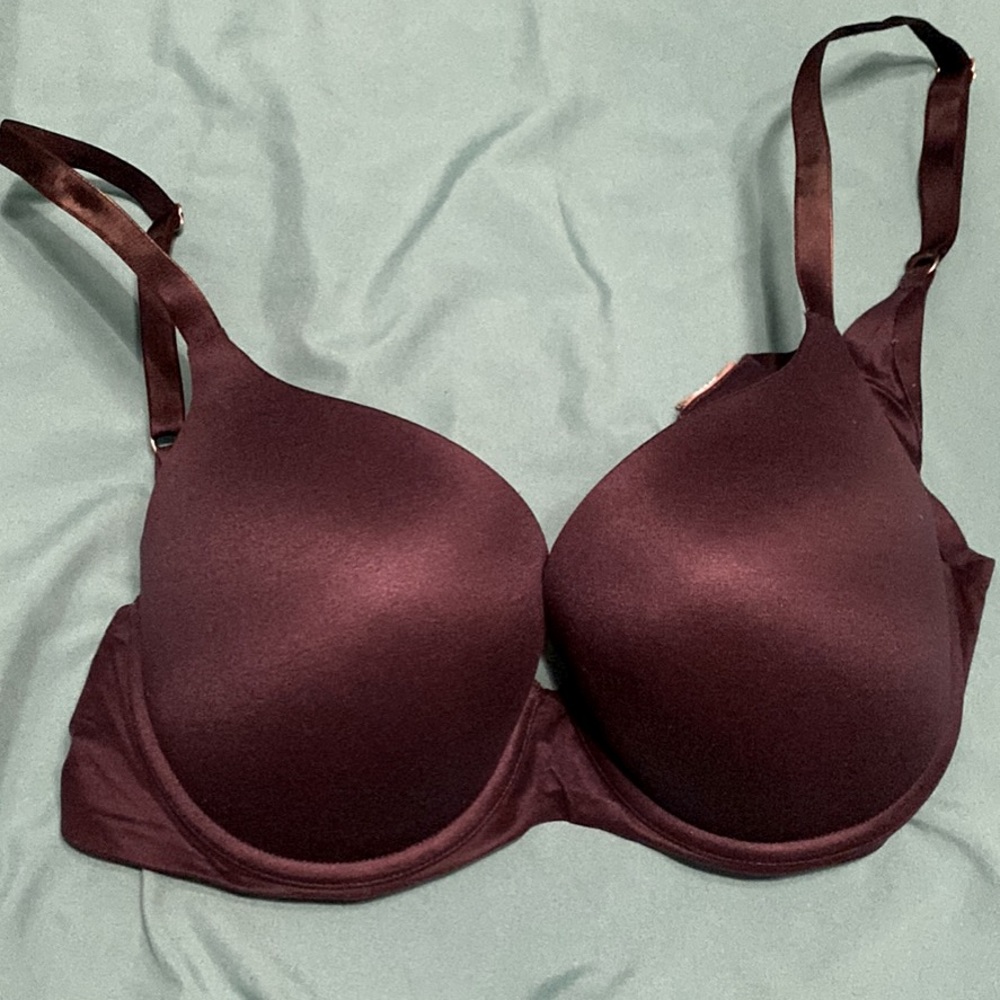 Aerie Push Up Bra 32DD